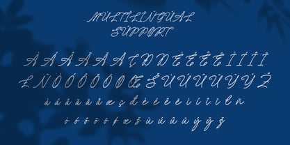 Amely Shine Font Poster 8