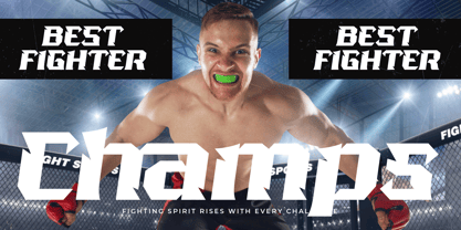 Beast Kings Font Poster 11