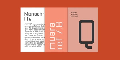 Bilaiyoba Font Poster 5