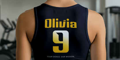 Drivery Enrich Font Poster 8