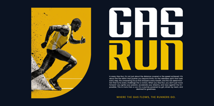 Drivery Enrich Font Poster 4