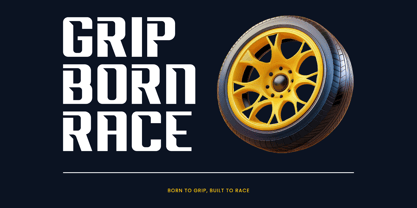 Drivery Enrich Font Poster 5