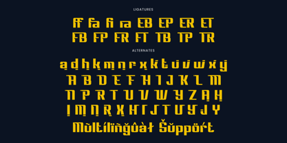 Drivery Enrich Font Poster 15