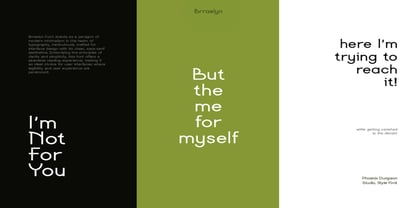 Brraelyn Font Poster 3