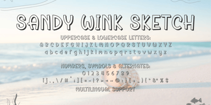 Sandy Wink Font Poster 11