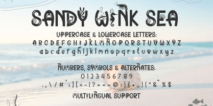 Sandy Wink Font Poster 9