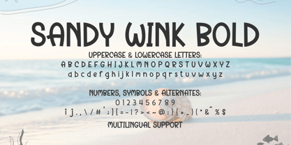 Sandy Wink Font Poster 8