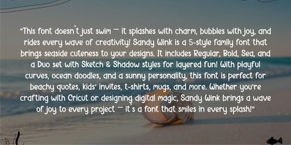 Sandy Wink Font Poster 3