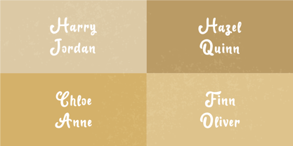 Buttersalt Font Poster 8