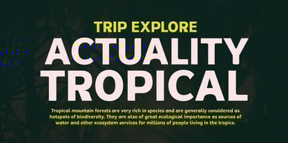 Azkelia Font Poster 4