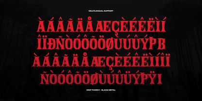 Drip Thorny Font Poster 11