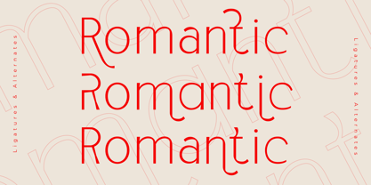 Alsty Zalet Font Poster 6