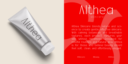 Alsty Zalet Font Poster 8