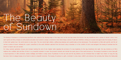 Alsty Zalet Font Poster 2