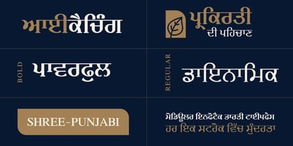 Shree Punjabi 0953 Font Poster 3
