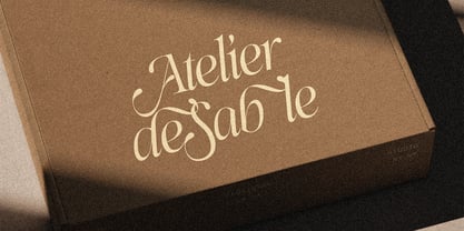 SLTF Netsera Font Poster 13