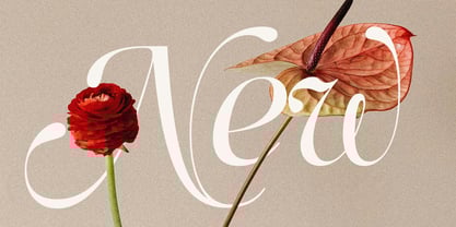 SLTF Netsera Font Poster 3