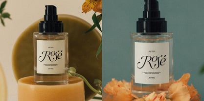 SLTF Netsera Font Poster 5