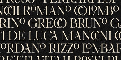 SLTF Netsera Font Poster 7