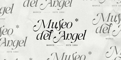 SLTF Netsera Font Poster 8