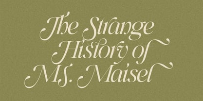 SLTF Netsera Font Poster 10