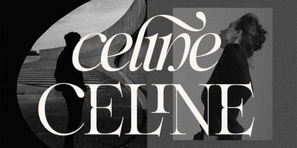 SLTF Netsera Font Poster 4