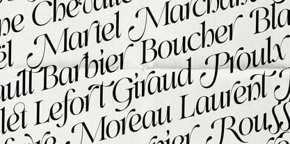 SLTF Netsera Font Poster 14