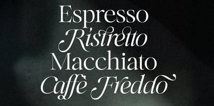 SLTF Netsera Font Poster 2