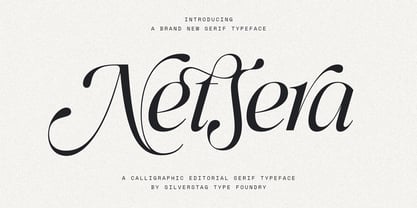 SLTF Netsera Font Poster 1