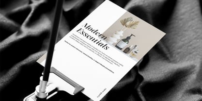 Aurestine Serif Font Poster 9