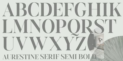 Aurestine Serif Font Poster 13