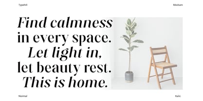 Aurestine Serif Font Poster 7