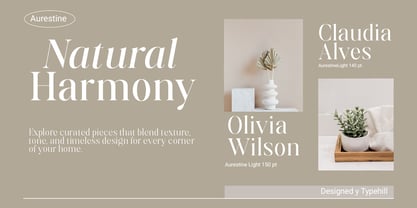 Aurestine Serif Font Poster 4