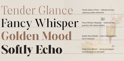 Aurestine Serif Font Poster 3