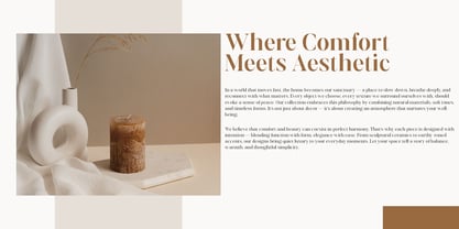 Aurestine Serif Font Poster 6