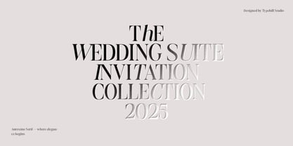 Aurestine Serif Font Poster 2