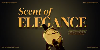 Aurestine Serif Font Poster 5