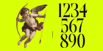 Antique Orchad Font Poster 6