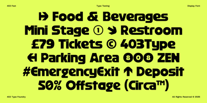 403 FEST Font Poster 11