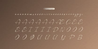 Pustaka Kinandy Font Poster 11