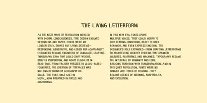 Enymany Font Poster 9