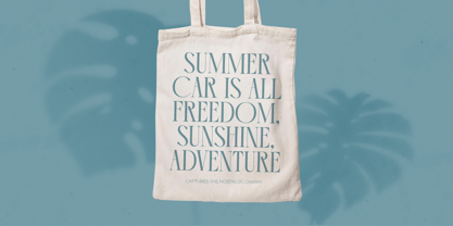 Comela Barier Font Poster 5