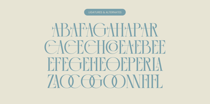 Comela Barier Font Poster 14