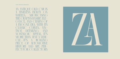 Comela Barier Font Poster 12