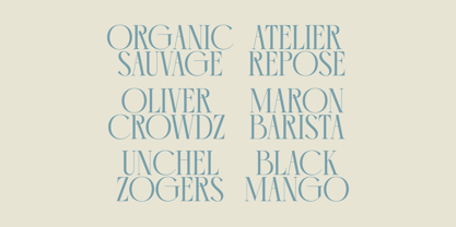 Comela Barier Font Poster 8