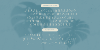 Comela Barier Font Poster 15