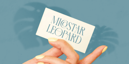 Comela Barier Font Poster 3