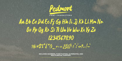 Pedmont Font Poster 6