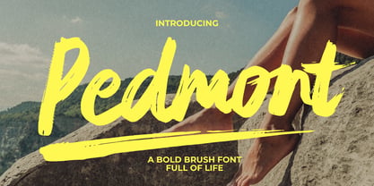 Pedmont Font Poster 1