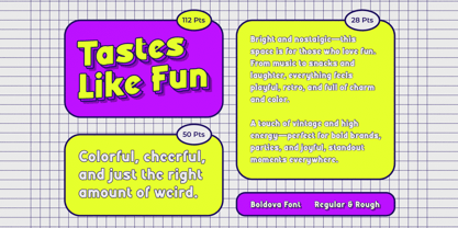 Boldova Font Poster 9